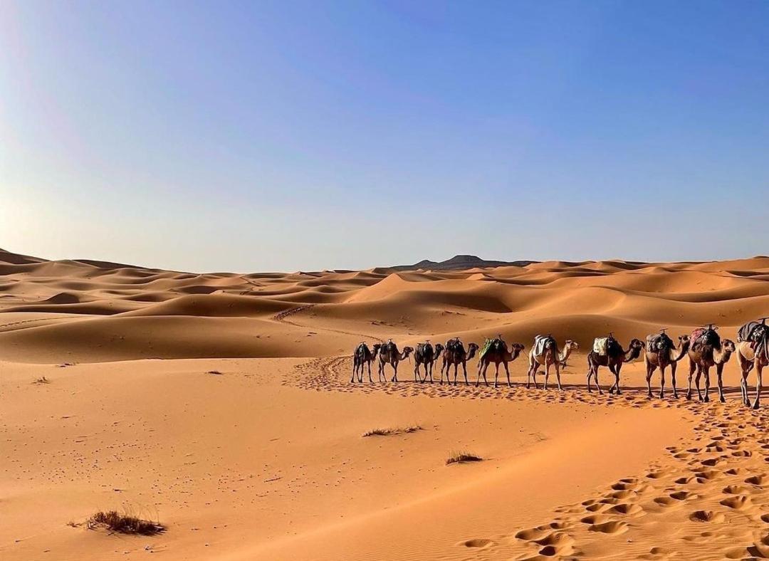 Chegaga Desert Trips Camp M'Hamid Zewnętrze zdjęcie